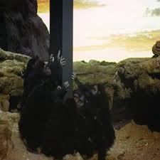 Image result for 2001 monolith