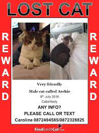 These are the ones not to miss in march. Cats Aid Dublin Please Share This Poster For A Missing Cat Facebook