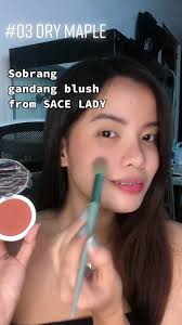 Affordable Blush from SACE LADY COSMETIC