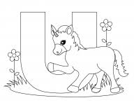 Alfabetul în imagini este un material prin care copiii exersează auzul fonematic (recunosc sunetele în cuvinte) și care dezvoltă vocabularul şi abilitățile de preînvățare a cititului. Desene De Colorat Litere Qbebe Planse Si Imagini De Colorat