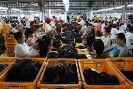 Pt boyang indusrial purbalingga merupakan perusahaan yang memproduksi wig (rambut palsu) terbesari di indonesia yang beralamat di jl. Industri Wig Purbalingga Hanya Akan Bertahan 10 Tahun Lagi Republika Online