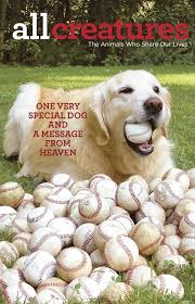 7 Ways To Pray When You Re Scared Animals Prayer Stories Messages From Heaven