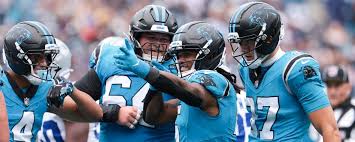 Image result for Hubbardochloa