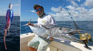 Wahoo On Strip Baits Fishtrack Com