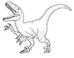 100% free dinosaur coloring pages. Velociraptor 7 Coloring Page Free Printable Coloring Pages For Kids