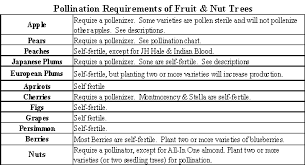 pollination requirements for fruit nut trees fruit trees