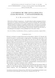 Image result for Berlinia orientalis