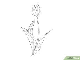 Membuat taring vampir dengan cepat. 9 Cara Untuk Menggambar Bunga Wikihow
