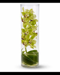 Dree, our resident cairn terrier, is in charge of quality control on a daily basis. Shop By Flowers Delivery Warrenton Va Village Flowers