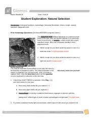 Pointed tipped with opening beak 7: Natural Selection Moth Gizmo Answer Key Student Exploration Natural Selection Answer Key Read Book Natural Selection Gizmo Answers Dandi Nasution