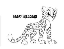 On this site, we provide you with cheetah coloring pages which are free to download. 12 Best Free Printable Cheetah Coloring Pages For Kids