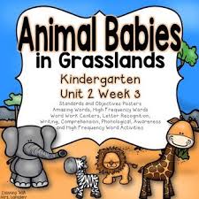 Kindergarten Reading Street Animal Babies In Grasslands Unit 2 Week 3 In 2020 Kindergarten Units Reading Street Reading Street Kindergarten