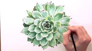 If you have any requests or questions, leave a comment down below! Best Watercolor Flower Succulent And Cactus Tutorials