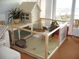 Bilder Eurer Innengehege Kaninchen Forum By Sweetrabbits Made With Forum101 By Worldweb Bilder E Indoor Rabbit Cage Indoor Rabbit House Indoor Rabbit