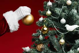 Christmas tree shops is an american retail chain that began in yarmouth port, massachusetts, in 1970 as a complex of three small stores. How Bad Are Christmas Trees For The Environment