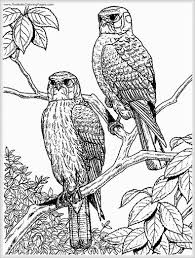 Pin On Adult Coloring Pages