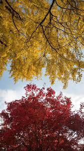 Pin By Shilpa Chavda On Wallpapers Nature Photography Easy Photo Editing Software Nature Pictures
