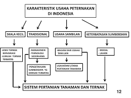 Satu sistem kabinet bayangan yang terdiri daripada: Pembahasan Lengkap Teori Karakteristik Usaha Peternakan Menurut Para Ahli Dan Contoh Tesis Karakteristik Usaha Peternakan Jasa Pembuatan Skripsi Dan Tesis 0852 25 88 77 47 Wa