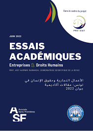 Essais académiques - Entreprises et droits humains by Avocats Sans  Frontieres asbl - Issuu