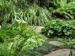 8 Sumptuous Shade Garden Plant Combinations Shade Garden Plants Shade Plants Shade Garden