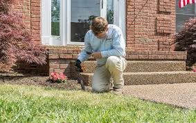 See more of midstate termite and pest control on facebook. Termite Control Nashville Get Rid Of Termites In Middle Tn