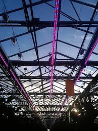 Contact us for more information on a customized solution fit for your growing environment. Led Grow Lights The Right Led Greenhouse Lighting