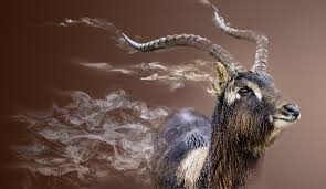 2018, mystery and thriller/sci fi. Due To Humans Extinction Risk For 1 700 Animal Species To Increase By 2070 Yalenews