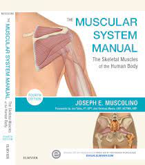 I like a lot of the dover books because they're often very high quality and surprisingly affordable. The Muscular System Manual Learn Muscles