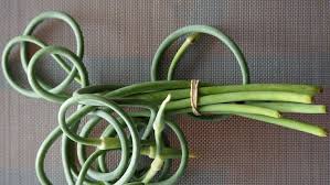 10 Things To Do With Garlic Scapes The Best Veg You Re Not Cooking Yet Garlic Scapes Scape Recipe How To Cook Garlic
