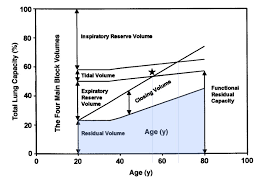 Image result for Functional Residual Capacity