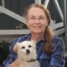 Sean Hoyle's Instagram, Twitter & Facebook