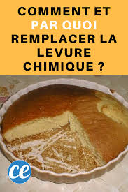 Comment Et Par Quoi Remplacer La Levure Chimique Trucs Et Astuces Cuisine Levure Chimique Levure