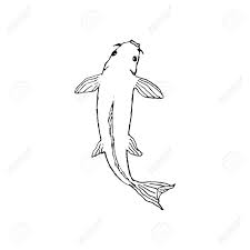 Check spelling or type a new query. Koi Fish Hand Drawing Sketch Black Outline On White Background Royalty Free Cliparts Vectors And Stock Illustration Image 139706167