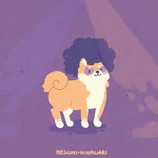 Explore and share the latest doge pictures, gifs, memes, images, and photos on imgur. Disco Doge By Megumievilkyu On Deviantart
