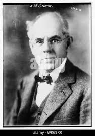 Cattell Cut Out Stock Images & Pictures