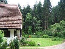 Obergieshof Bei Hornberg Im Schwarzwald Das Waldhaus Ferienhaus Schwarzwald Schwarzwald Urlaub Ferien Im Schwarzwald