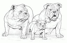 Download and print these animal, pitbull coloring pages for free. Mandala Pitbull Coloring Pages Thebigbingbangboom