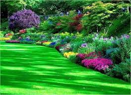 Remta dam at ranchi and pure jharna water at chaibasa music: 43 Beautiful Flower Garden Ideas For Your Home Flowergarden Gardendecor Gardendecorideas Flower Garden Images Garden Images Beautiful Gardens