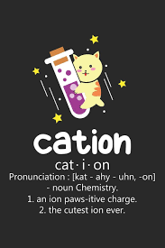 Making chemistry puns instead of doing actual work, more like. Cation Cat Chemistry Pun Dot Grid Journal Diary Notebook 6 X 9 Inches With 120 Pages Amazon Co Uk Publishing Funny Cat 9781081842222 Books