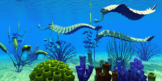 Check spelling or type a new query. The Evolutionary Development Of Multicellular Organisms Biology Online Tutorial