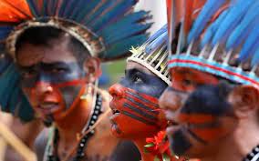 Amazonian Indigenous Tribe Amazon Tribe Tribe Amazon