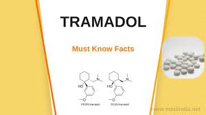 Über 7 millionen englischsprachige bücher. Drug Anatram 50mg 10 Tablets Tablet Tramadol Price List Or Cost Of Medication Medindia
