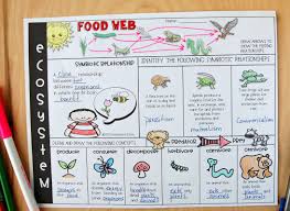 Ecosystem Review Worksheet Ecosystems Homeschool Science Biology Classroom