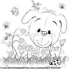 Pin On Colour Colour Coloring