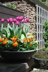 Spring Annuals Flowers Pansies Tulips Urban Garden Landscape Design Spring Planter Container Garden Design Planting Tulips