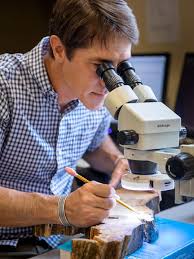 Once and Future Wildfires