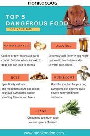 Top 5 Dangerous Food For Your Dog Dangerous Foods For Dogs Dog Food Recipes Healthy Dog Food Recipes