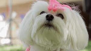The best gifs are on giphy. Dnce Lyric Video Behind The Scenes Gifs Get The Best Gif On Giphy