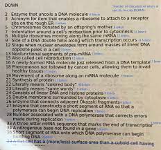 Take a sneak peak at the movies coming out this week (8/12) 5 new movie trailers we're excited about Dna Crossword Puzzle Please Answer All Questions For Chegg Com
