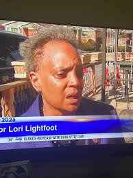 Real Investments Chicago Ltd